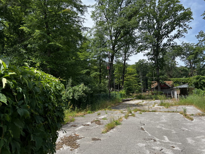 Deer Forest - July 2 2022 Photo (newer photo)